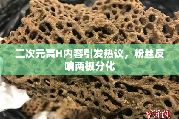 二次元高H内容引发热议，粉丝反响两极分化