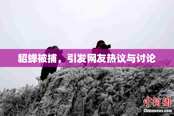 貂蝉被捕，引发网友热议与讨论