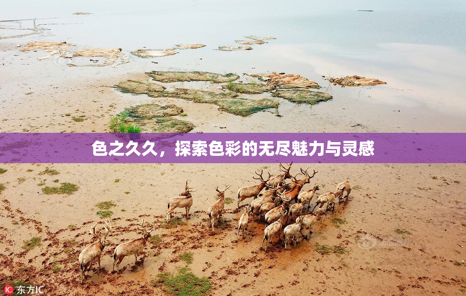 色之久久，探索色彩的无尽魅力与灵感