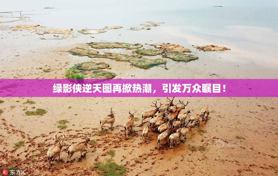 绿影侠逆天图再掀热潮，引发万众瞩目！