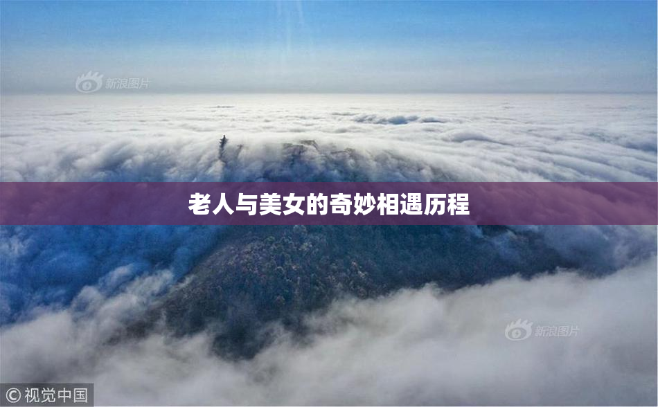 老人与美女的奇妙相遇历程