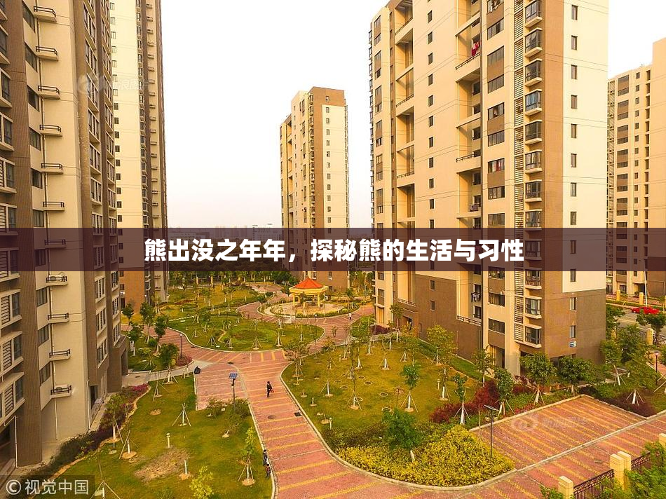 熊出没之年年，探秘熊的生活与习性