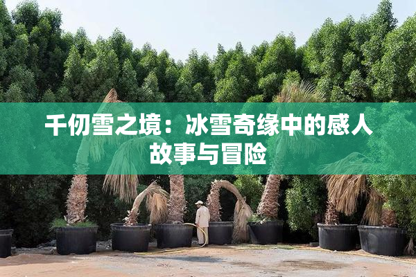 千仞雪之境：冰雪奇缘中的感人故事与冒险