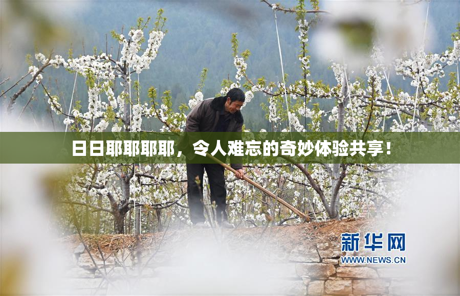 日日耶耶耶耶，令人难忘的奇妙体验共享！