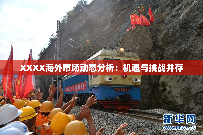 XXXX海外市场动态分析：机遇与挑战并存