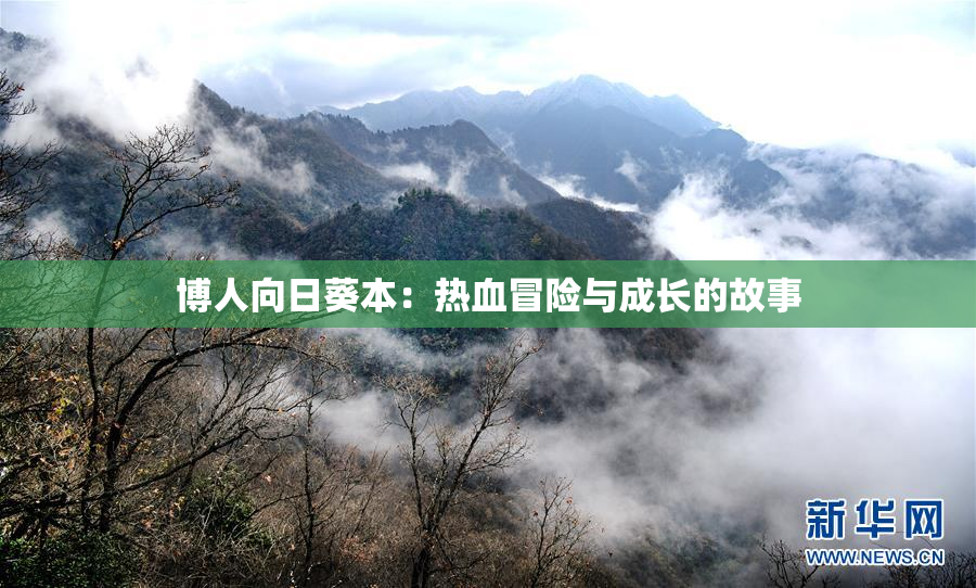 博人向日葵本：热血冒险与成长的故事