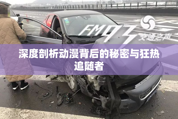 深度剖析动漫背后的秘密与狂热追随者