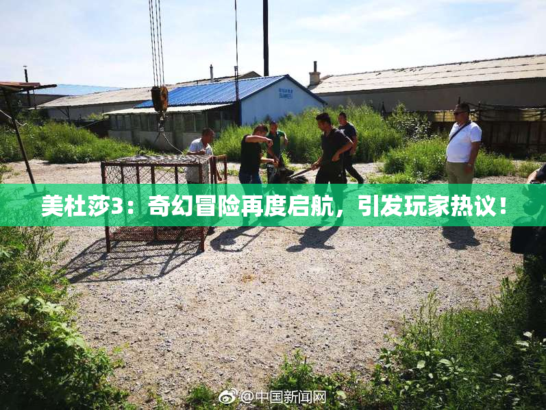 美杜莎3：奇幻冒险再度启航，引发玩家热议！