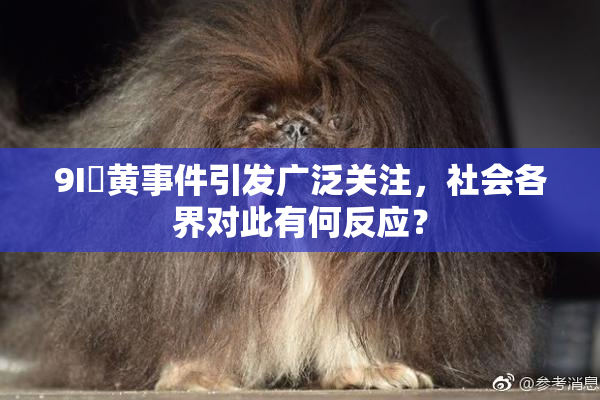 9I婬黄事件引发广泛关注，社会各界对此有何反应？
