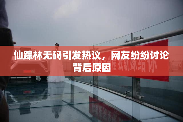 仙踪林无码引发热议，网友纷纷讨论背后原因