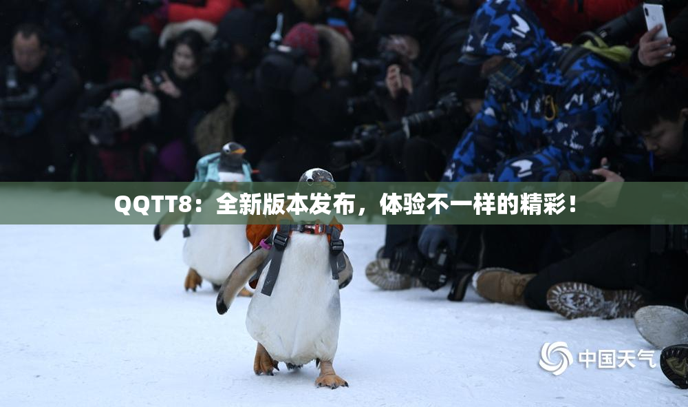 QQTT8：全新版本发布，体验不一样的精彩！