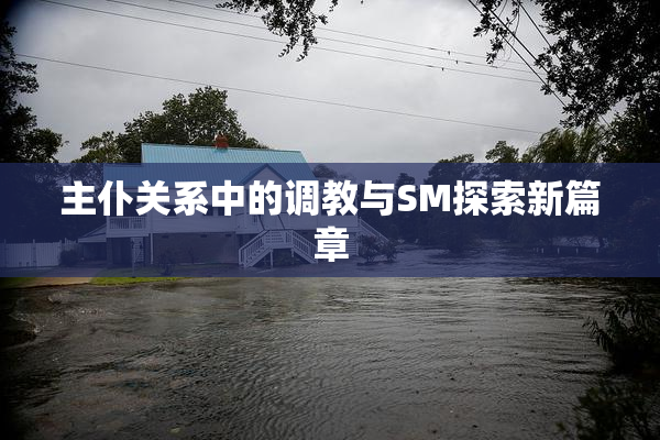 主仆关系中的调教与SM探索新篇章