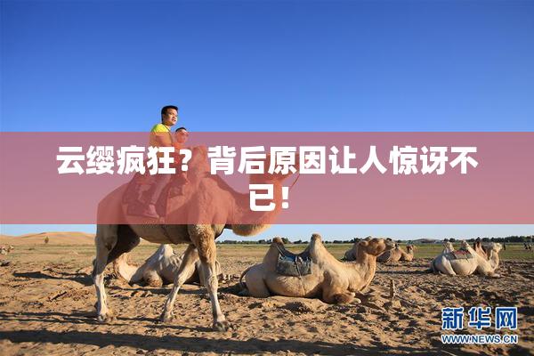 云缨疯狂？背后原因让人惊讶不已！