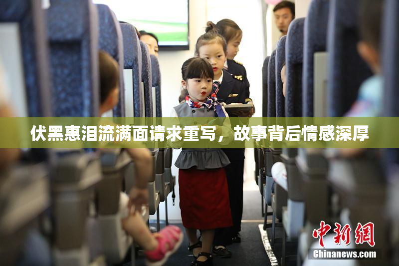 伏黑惠泪流满面请求重写，故事背后情感深厚