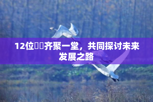 12位妺妺齐聚一堂，共同探讨未来发展之路