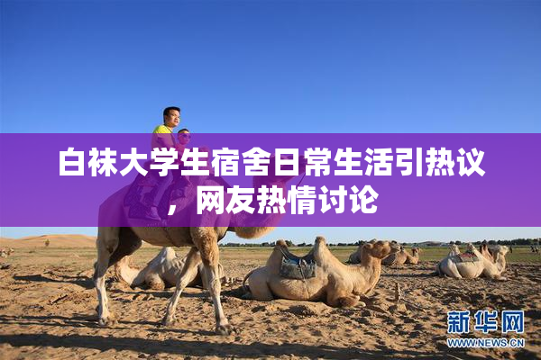 白袜大学生宿舍日常生活引热议，网友热情讨论