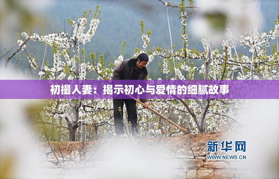 初撮人妻：揭示初心与爱情的细腻故事