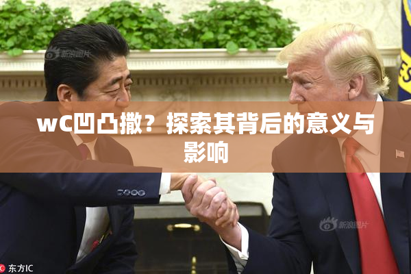wC凹凸撒？探索其背后的意义与影响