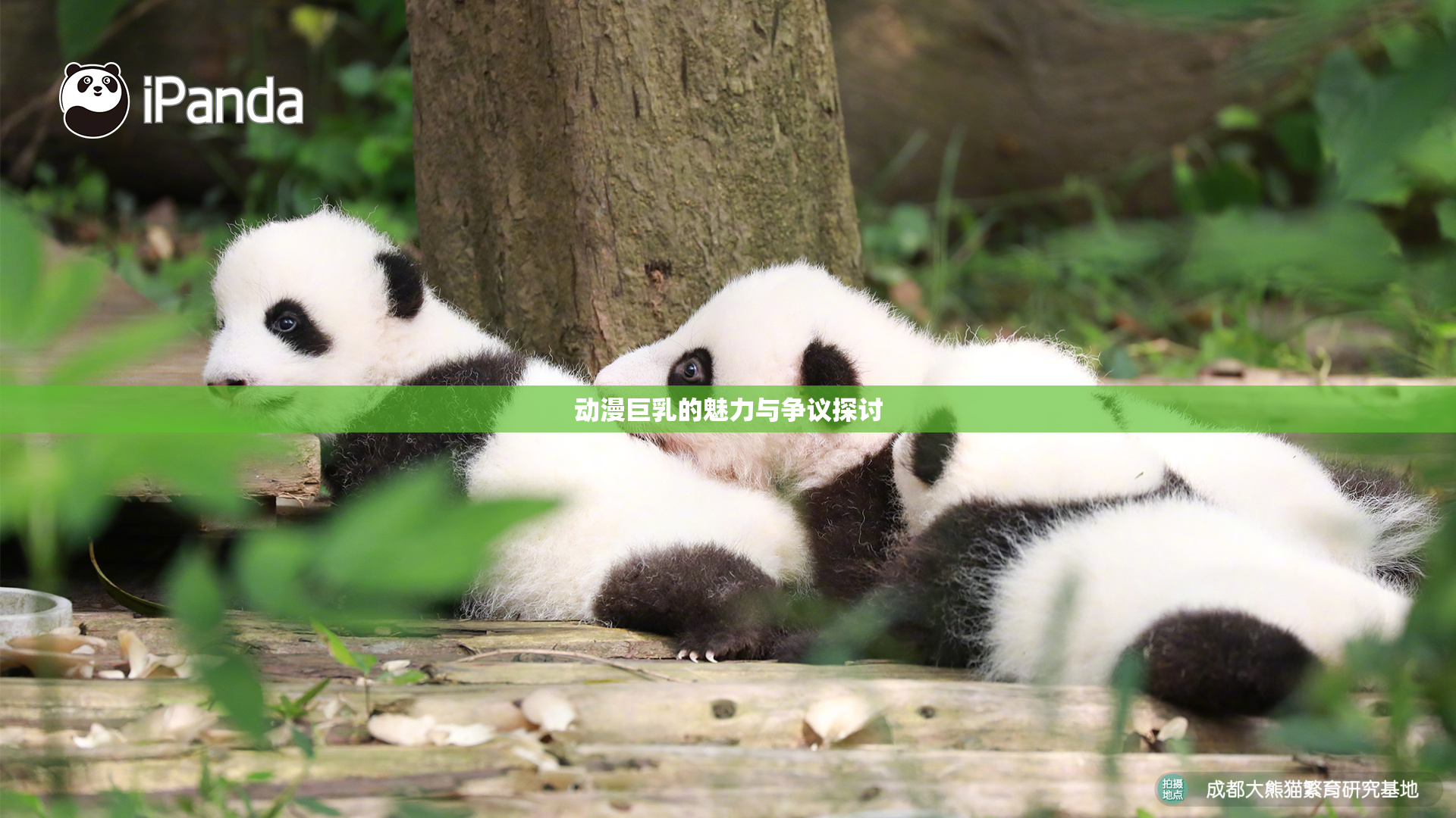 动漫巨乳的魅力与争议探讨