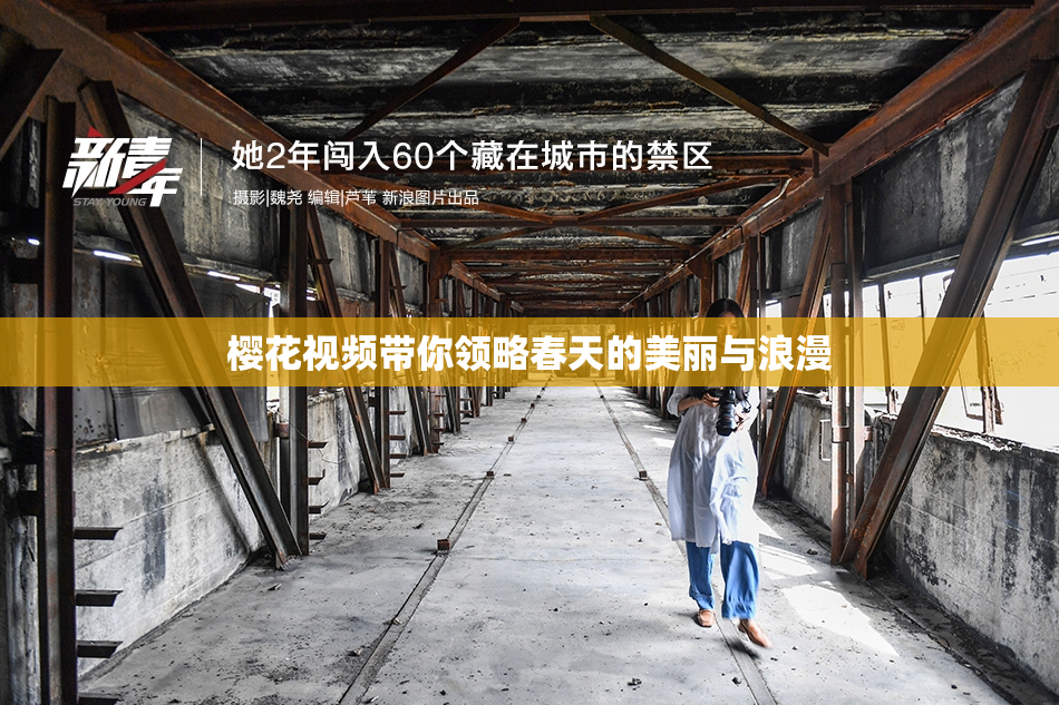 樱花视频带你领略春天的美丽与浪漫