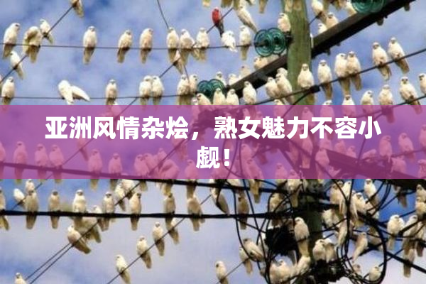 亚洲风情杂烩，熟女魅力不容小觑！