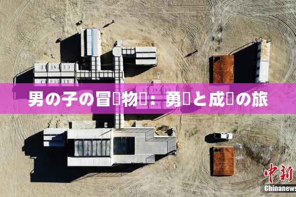 男の子の冒険物語：勇気と成長の旅