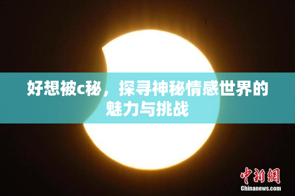 好想被c秘，探寻神秘情感世界的魅力与挑战