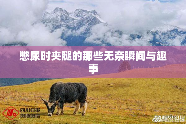 憋尿时夹腿的那些无奈瞬间与趣事