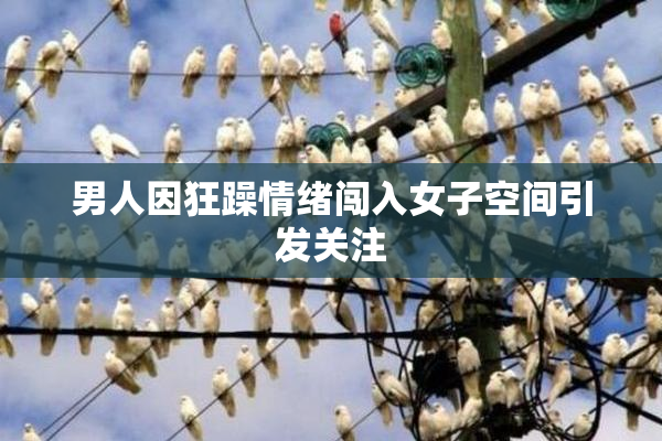 男人因狂躁情绪闯入女子空间引发关注