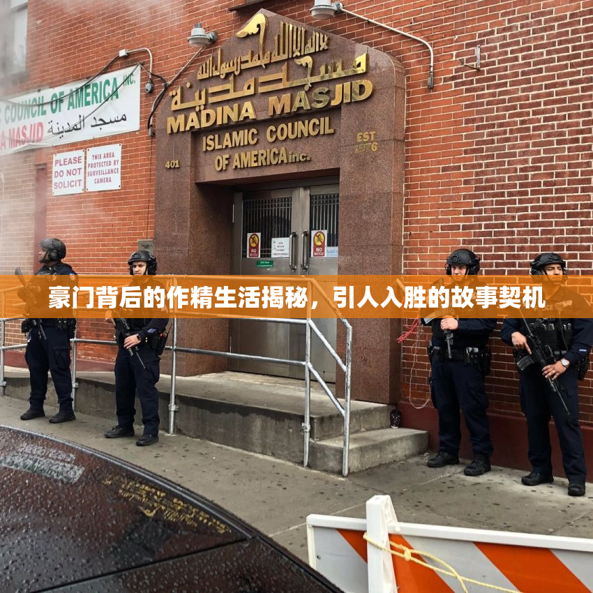 豪门背后的作精生活揭秘，引人入胜的故事契机