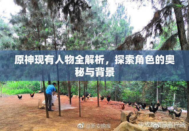 原神现有人物全解析，探索角色的奥秘与背景