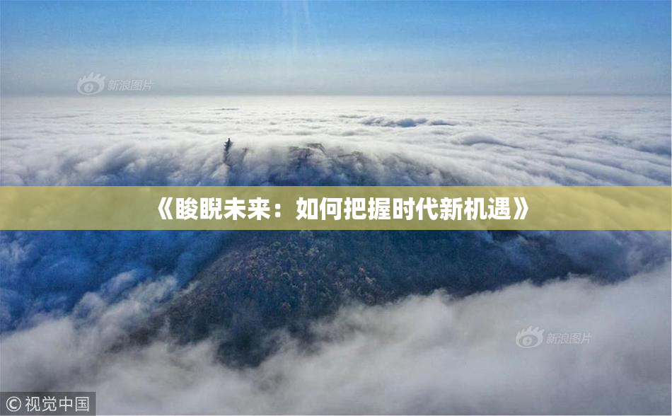 《睃睨未来：如何把握时代新机遇》