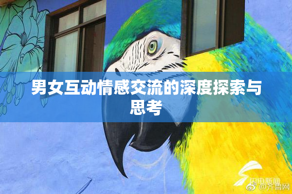 男女互动情感交流的深度探索与思考