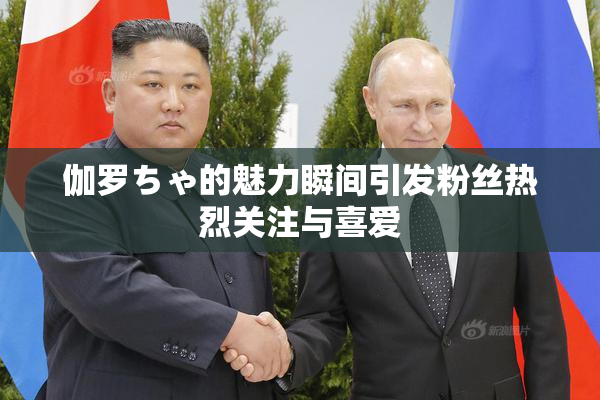 伽罗ちゃ的魅力瞬间引发粉丝热烈关注与喜爱