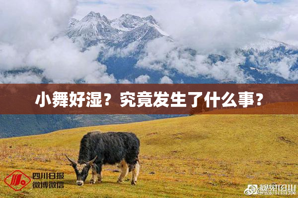 小舞好湿？究竟发生了什么事？