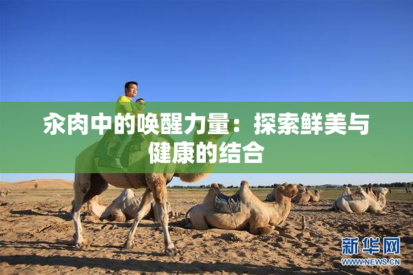 汆肉中的唤醒力量：探索鲜美与健康的结合