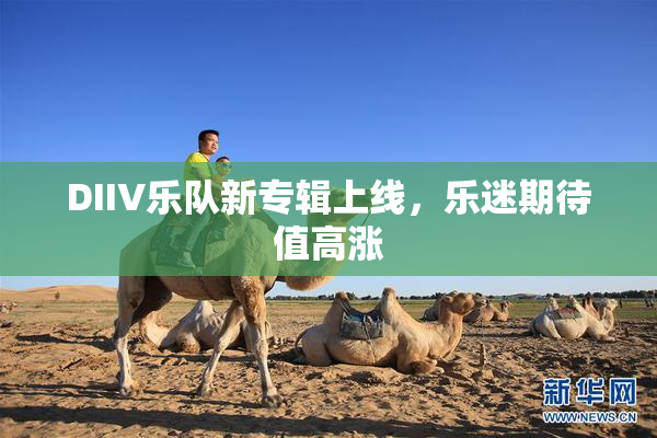 DIIV乐队新专辑上线，乐迷期待值高涨
