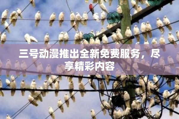 三号动漫推出全新免费服务，尽享精彩内容