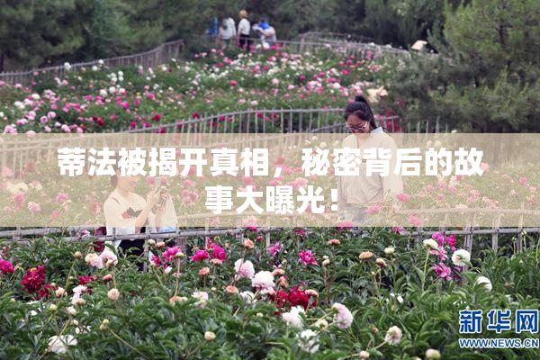 蒂法被揭开真相，秘密背后的故事大曝光！