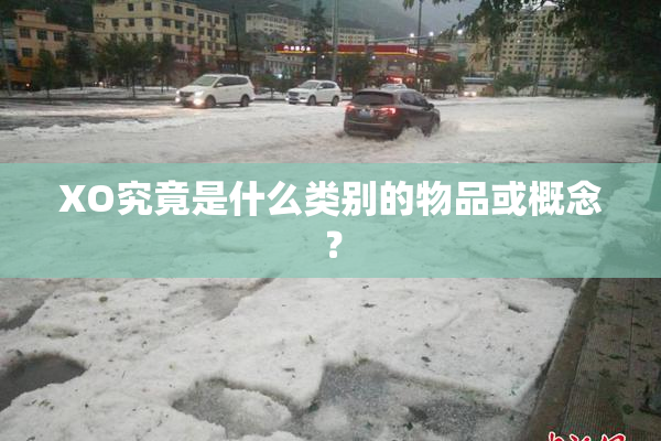 XO究竟是什么类别的物品或概念？