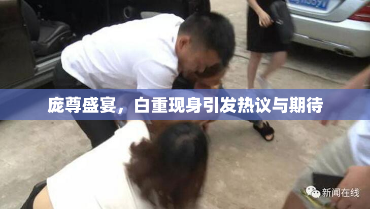 庞尊盛宴，白重现身引发热议与期待