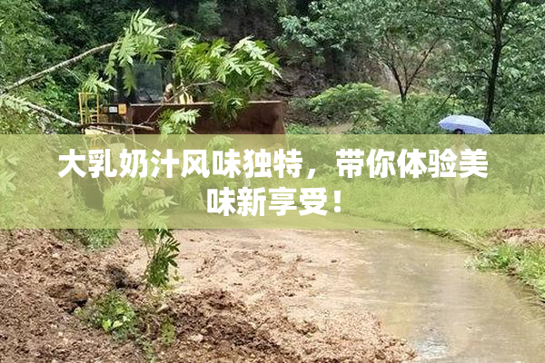 大乳奶汁风味独特，带你体验美味新享受！