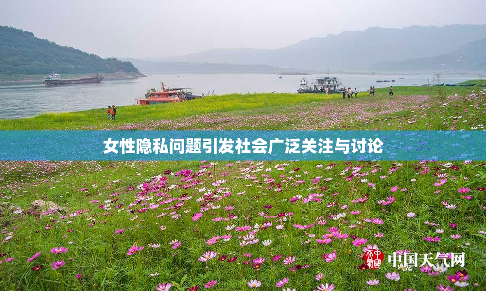 女性隐私问题引发社会广泛关注与讨论