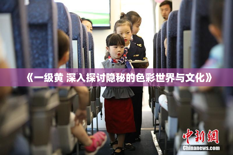 《一级黄 深入探讨隐秘的色彩世界与文化》