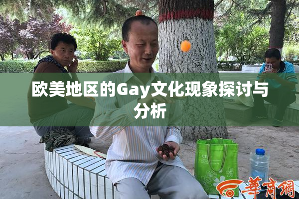 欧美地区的Gay文化现象探讨与分析