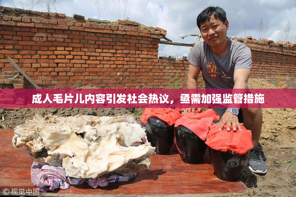 成人毛片儿内容引发社会热议，亟需加强监管措施