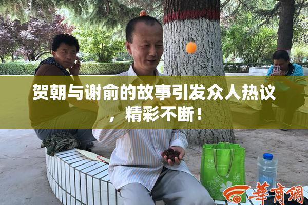 贺朝与谢俞的故事引发众人热议，精彩不断！