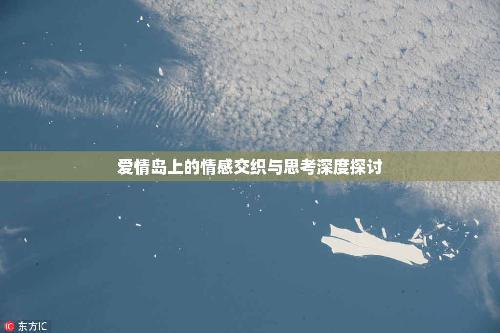 爱情岛上的情感交织与思考深度探讨