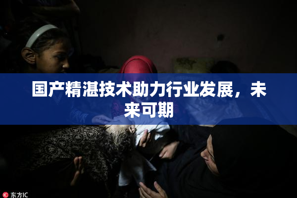 国产精湛技术助力行业发展，未来可期