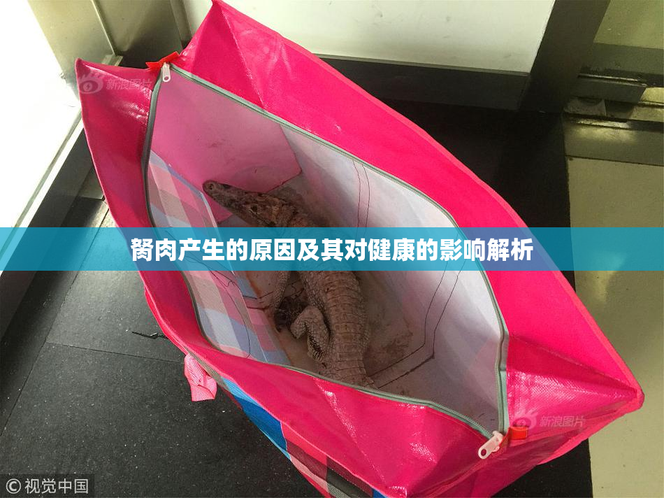 胬肉产生的原因及其对健康的影响解析